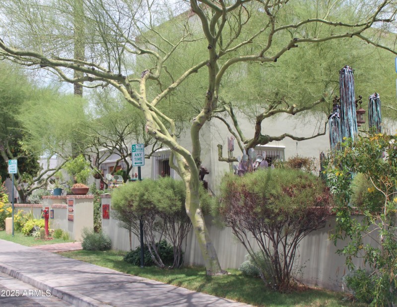 Old Town Scottsdale 2