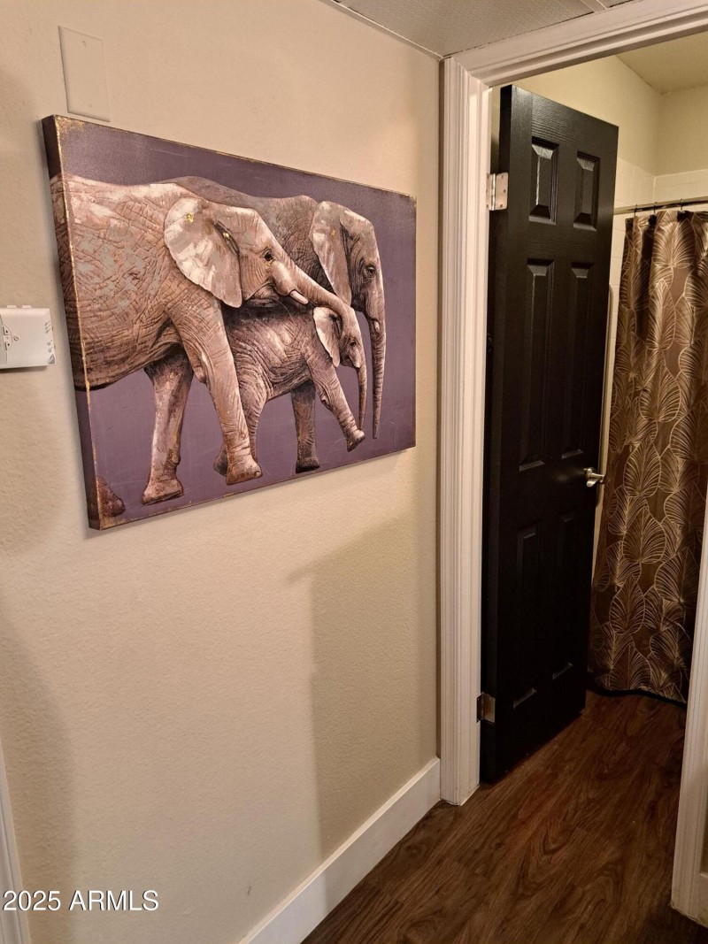 Monaco bathroom elephants 3x