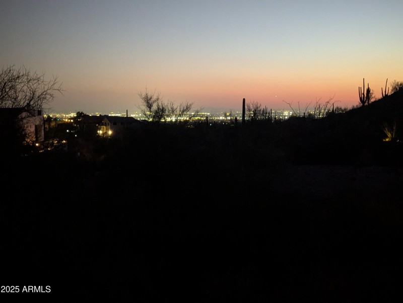 PXL_20250131_013328920