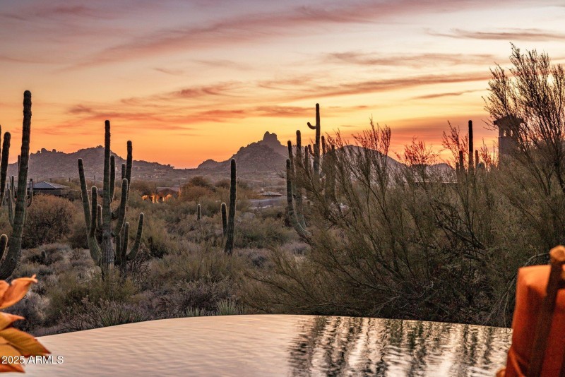 50-web-or-mls-D46A2580