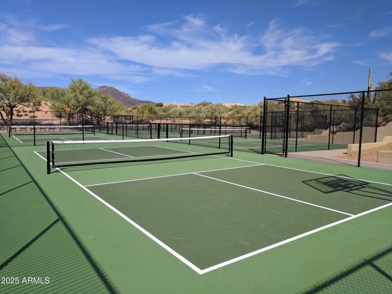 077_DM Pickleball