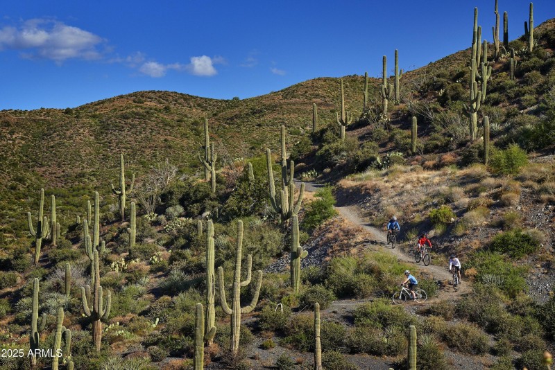 079_DM Mountain Bike and Hike