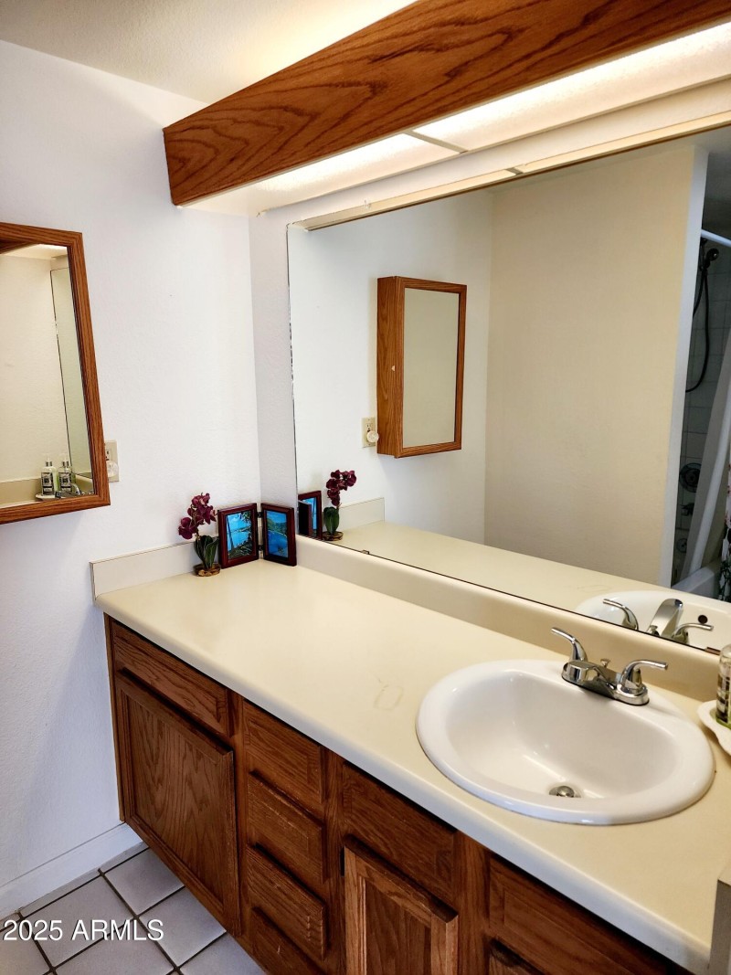 MASTER BATH VANITY1