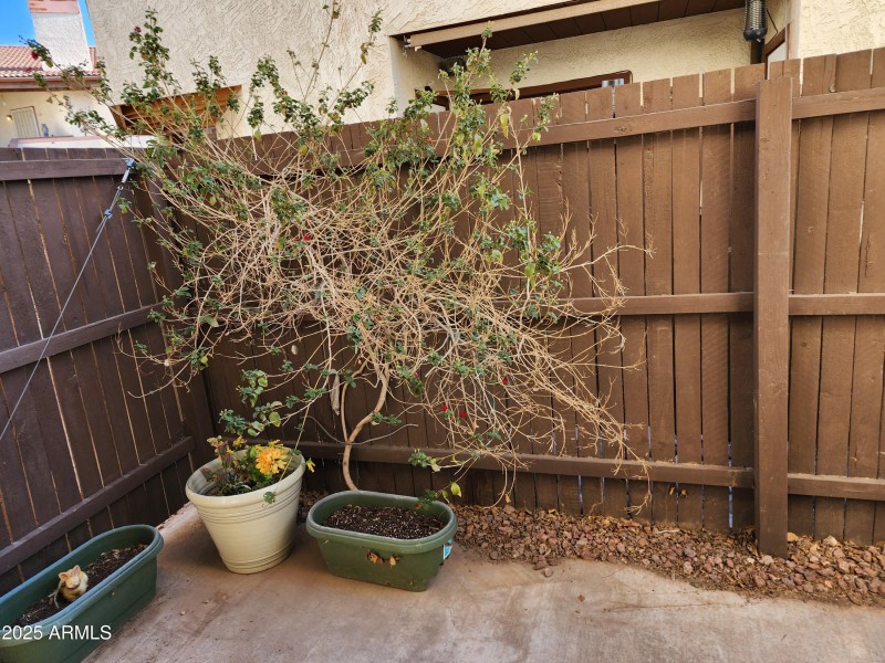 PATIO AREA1