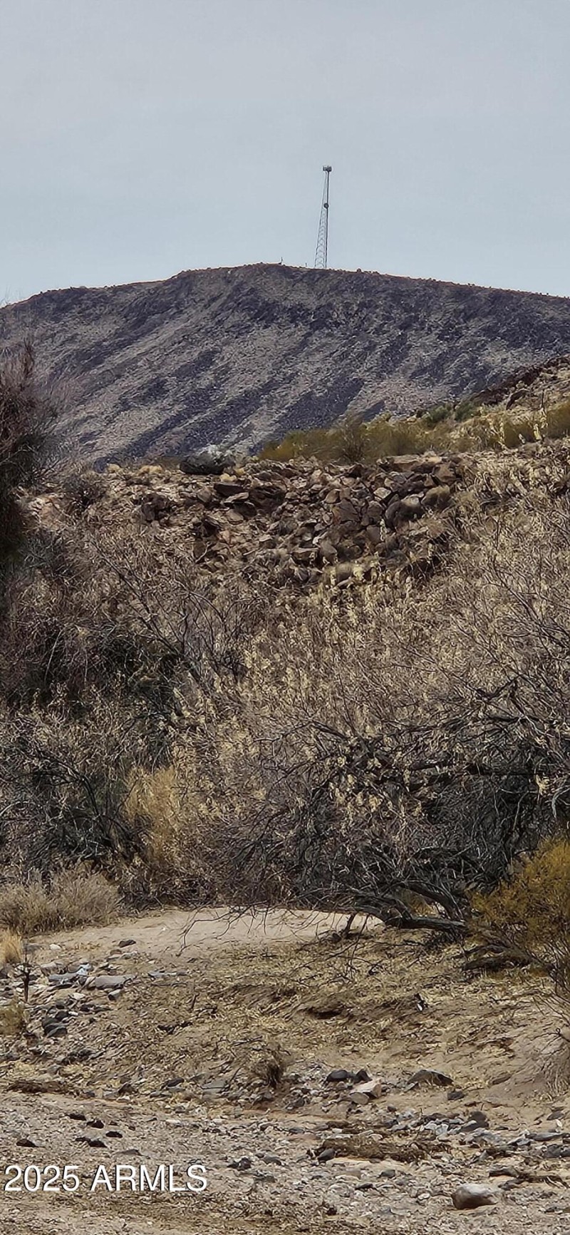 20250125_101606
