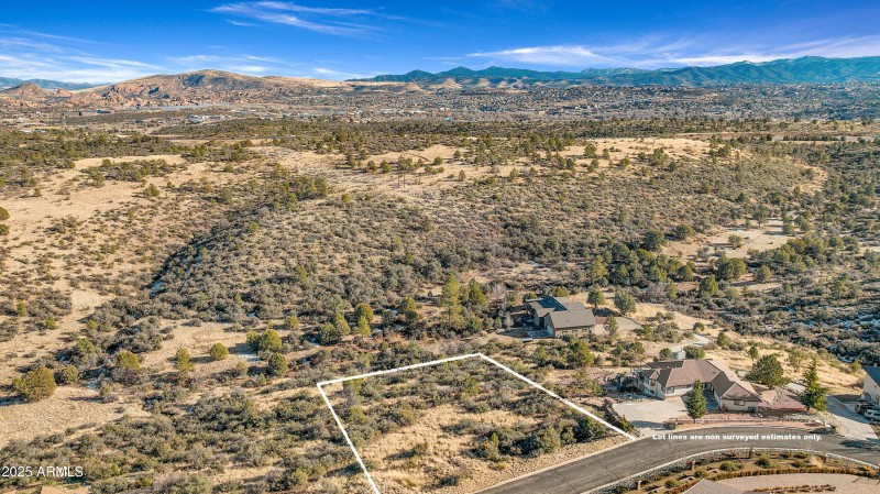 Aerial 1 Lot Lines