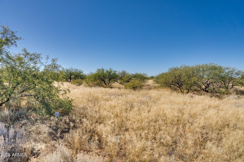 TBD W Thunder Pass Road, Lot 65