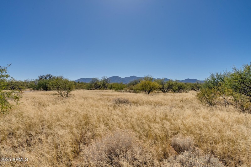 Lot 65-10
