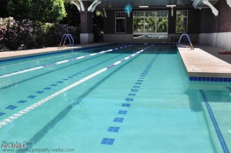 Heated Lap Pool - Copy