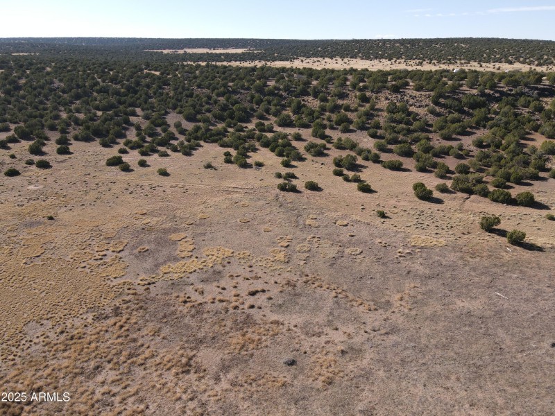 dji_fly_20231027_142100_129_169844187204