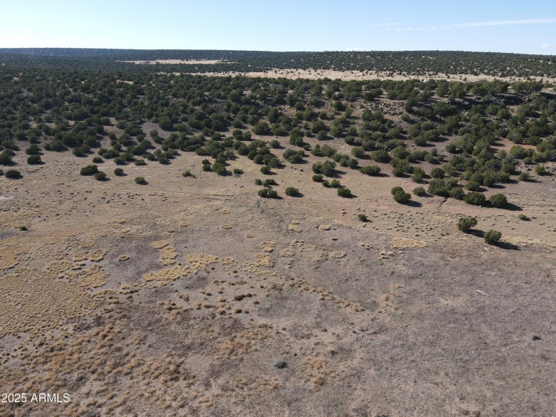 dji_fly_20231027_142114_130_169844186644