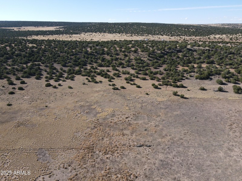 dji_fly_20231027_142334_135_169844183415