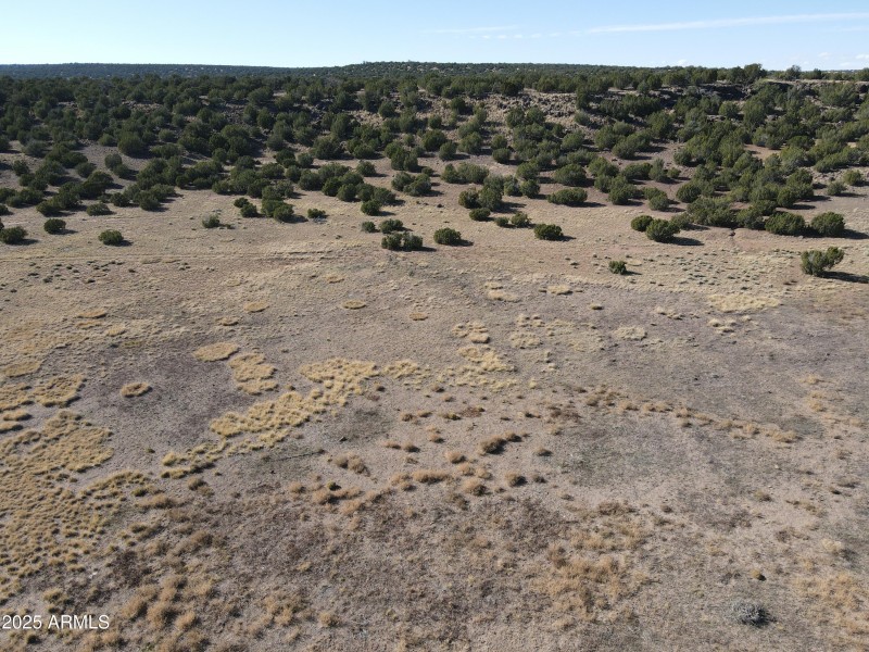 dji_fly_20231027_142432_137_169844189228