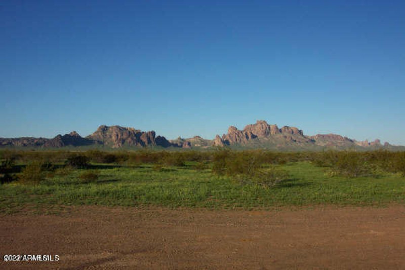 lot_view