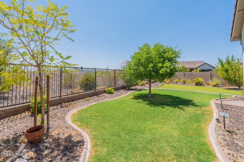 Roy Rogers Backyard 3