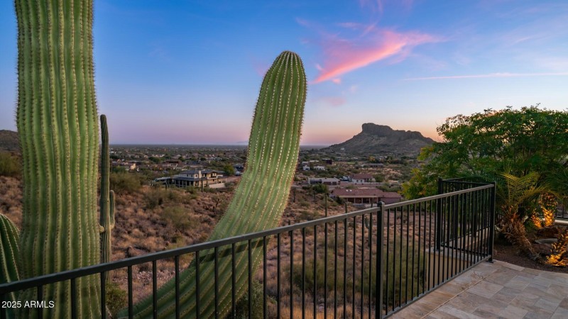 Natural Desert Beauty