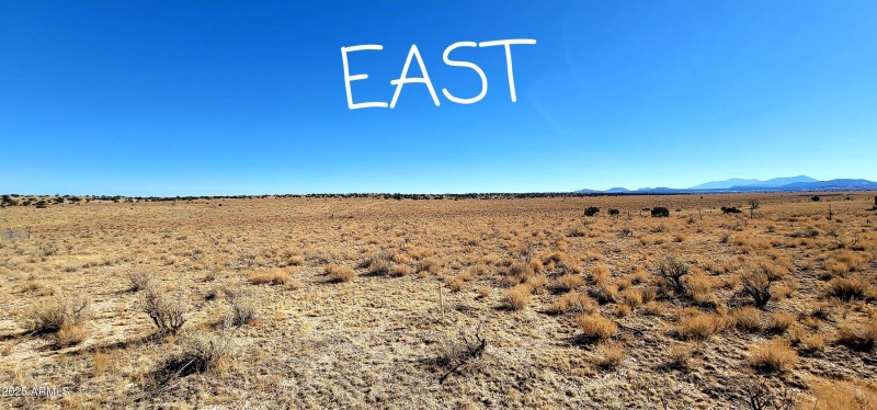 East View