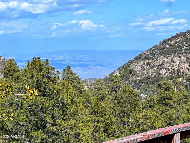 Views through the gap