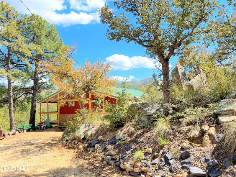 House from the driveway