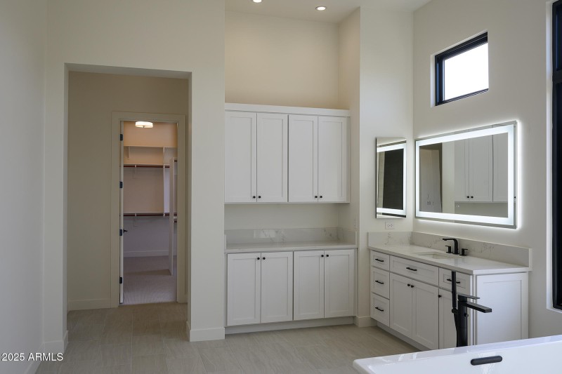 Contemporary Master Bath