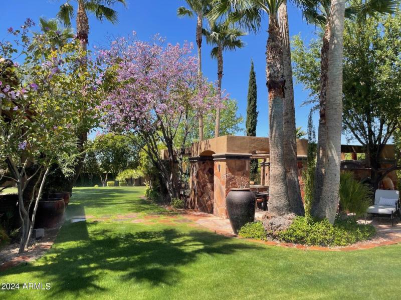 Outdoor kitchen and yard