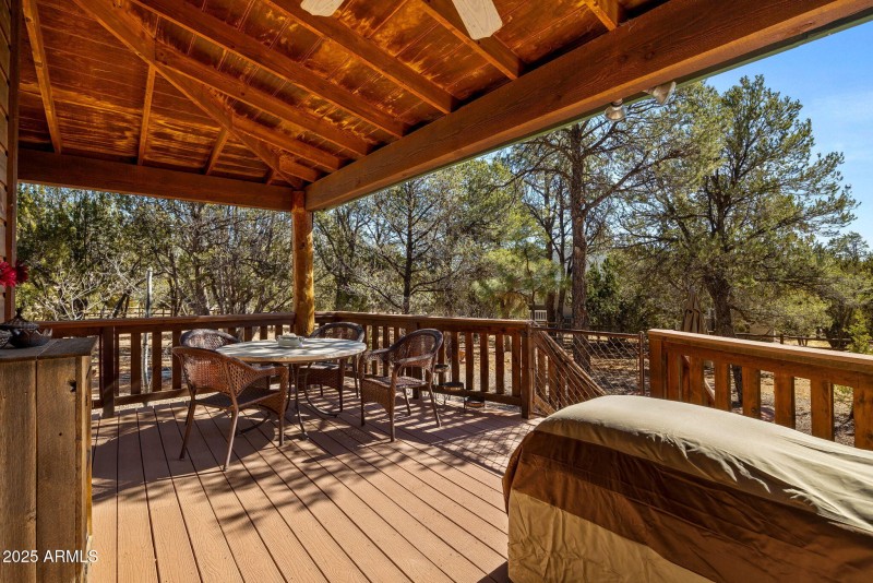 2337PumaCir-HeberOvergaard-AZ-33