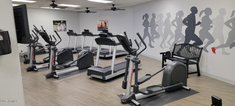 McKellips Gym