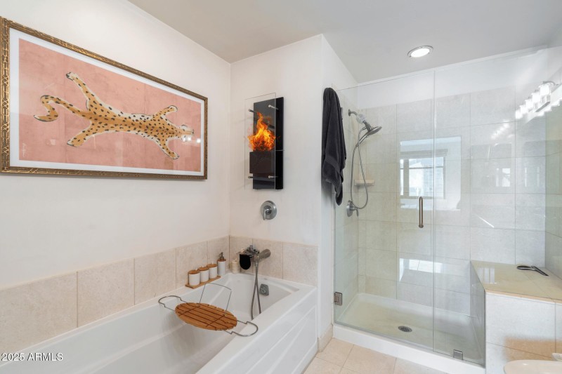 Separate Tub and New Shower Door