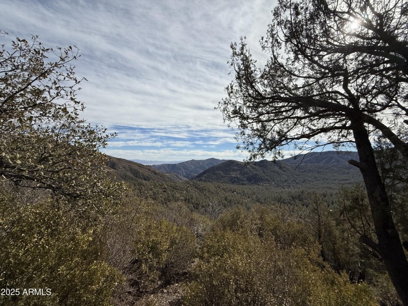 Views from the guest house