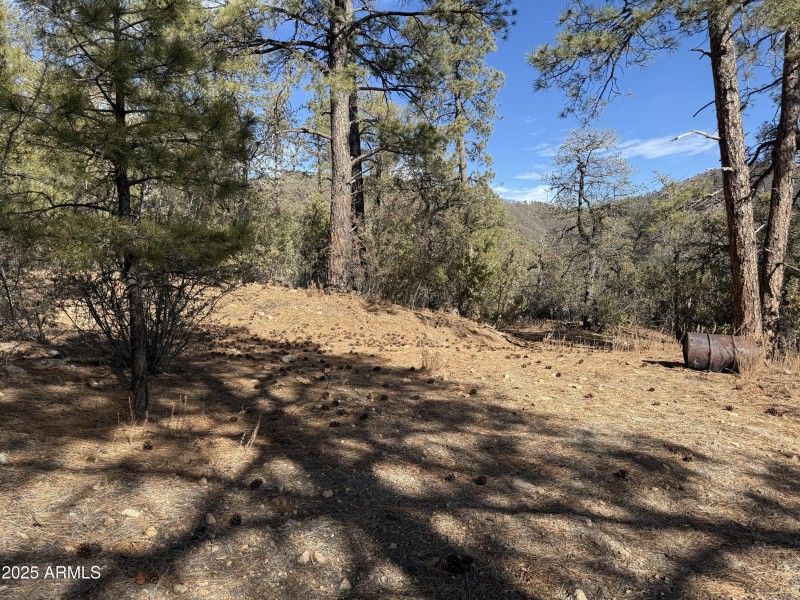 Secluded building spot