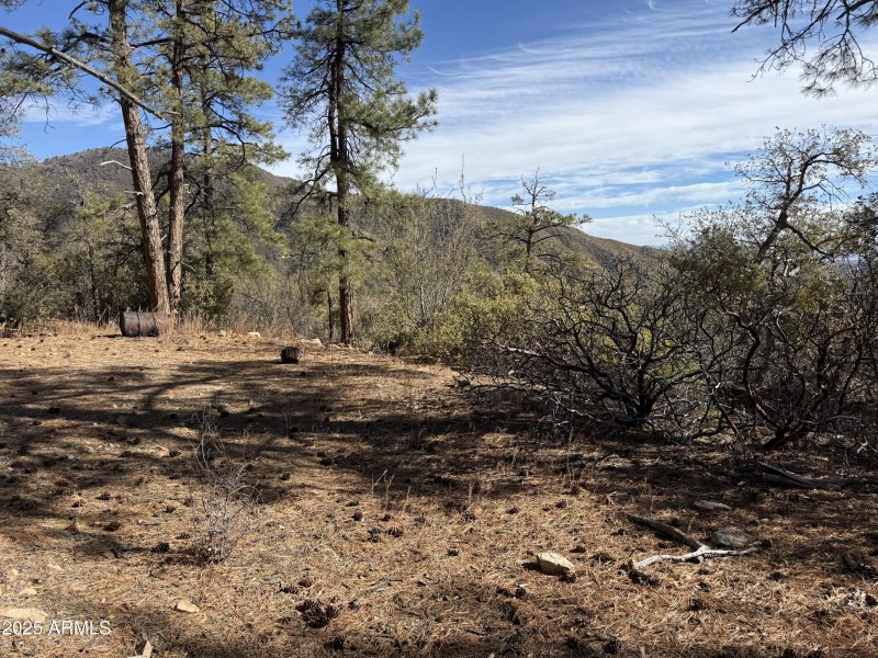 Secluded building spot