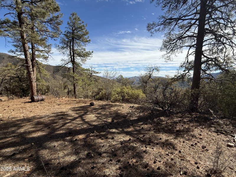 Secluded building spot