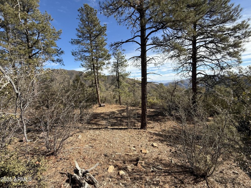 Secluded building spot