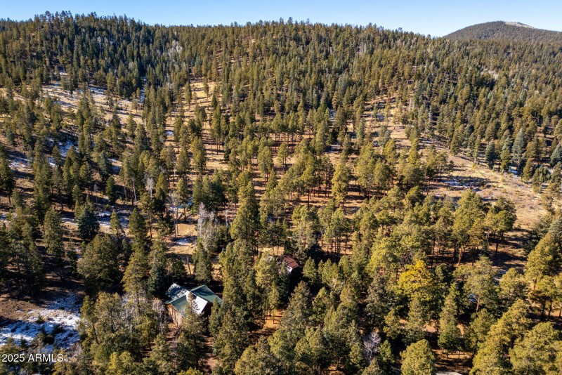 90CountyRd1330-Greer-AZ-39