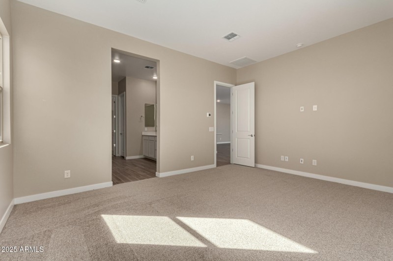 WP18 Lot 118 - 14-Bushy Tail