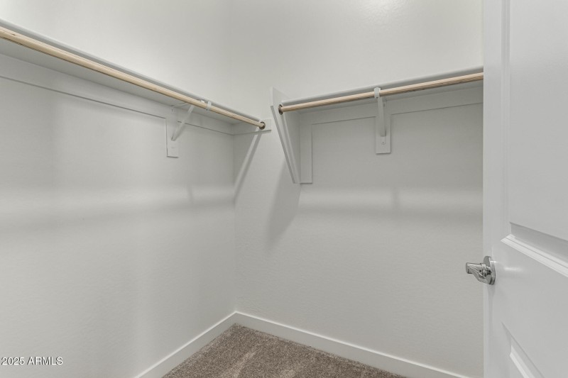 WP18 Lot 118 - 21-Bushy Tail