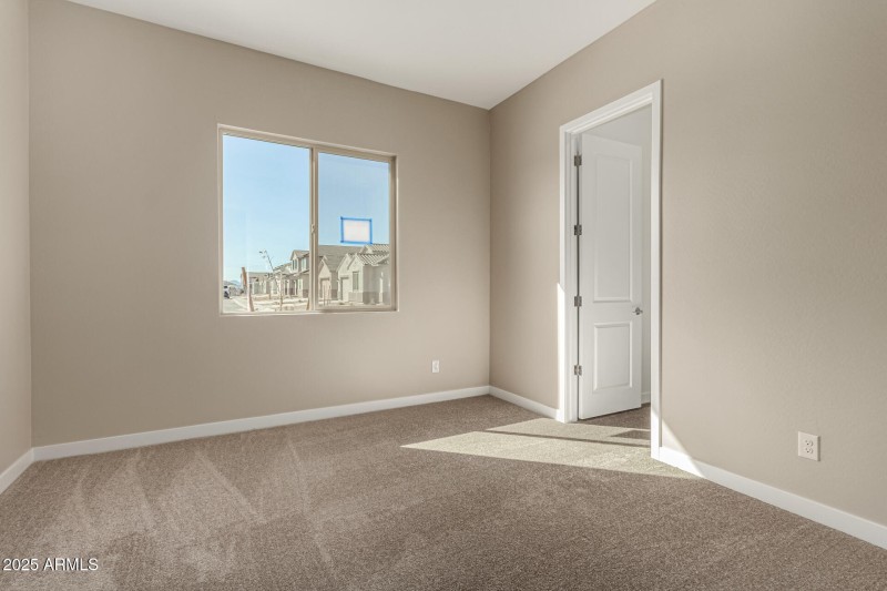 WP18 Lot 118 - 22-Bushy Tail