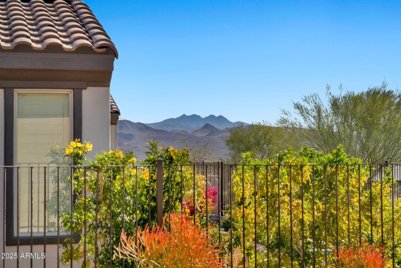 Four Peaks Views