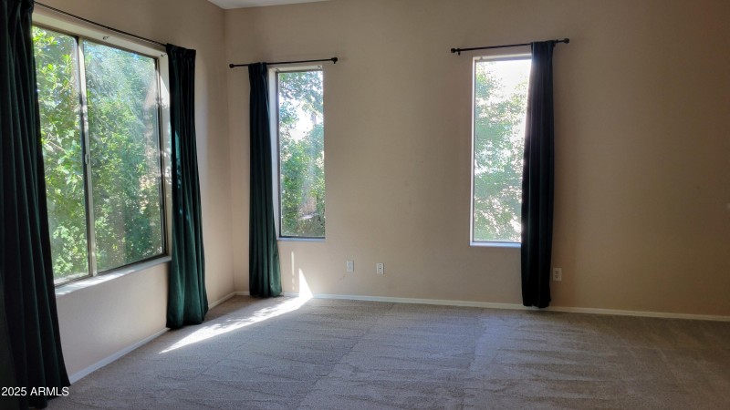 17-Large Master Windows, Mature Trees