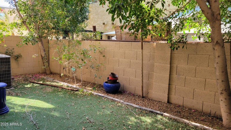 29-Back Patio, ArtificialTurf