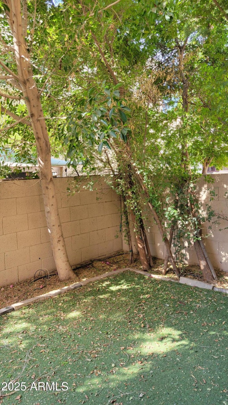 30-Mature Trees, Plenty of Shade