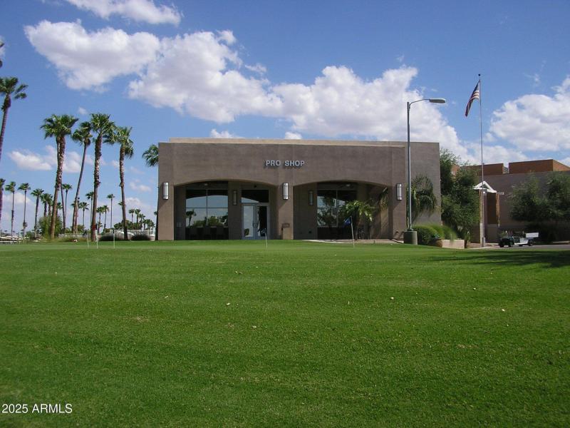 Pro Shop Practice Green