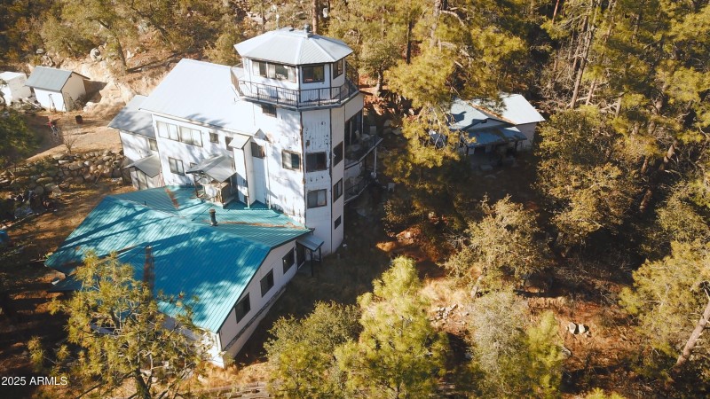 Home in the pines