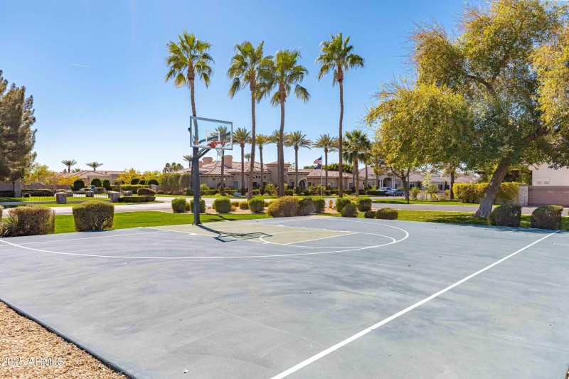 Basketball Half Court