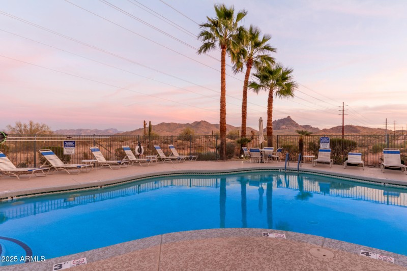 31 - Saguaro