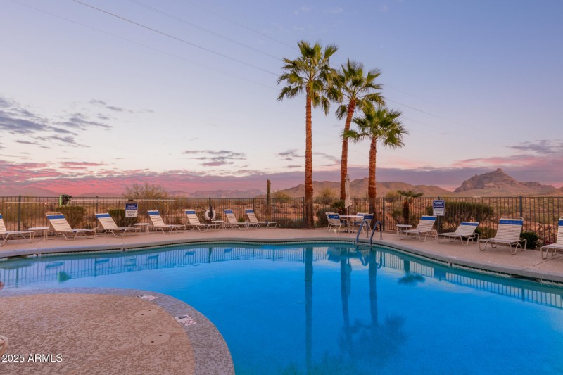 30 - Saguaro