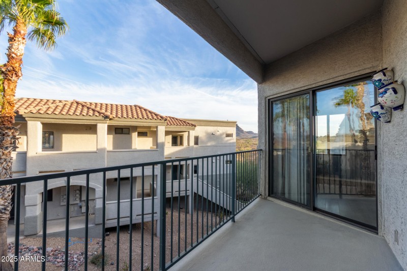 39 - Saguaro