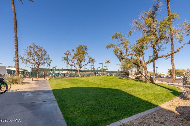 Palm Ridge Recreation Center, photo - 04