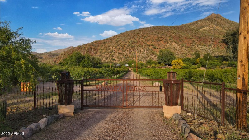Entry Gate