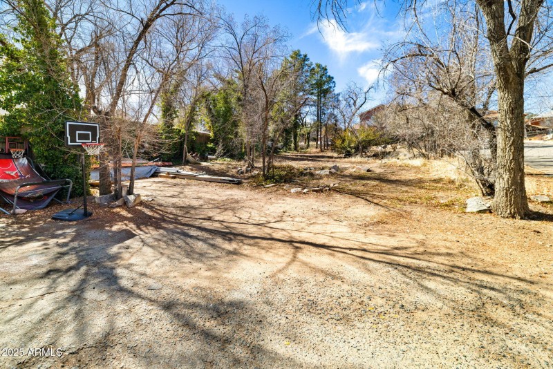 SHARED BACKYARD